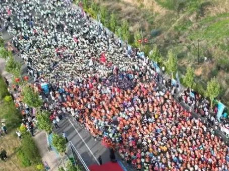 7790±Ø·¢¼¯ÍÅ(Öйú)ÓÐÏÞ¹«Ë¾