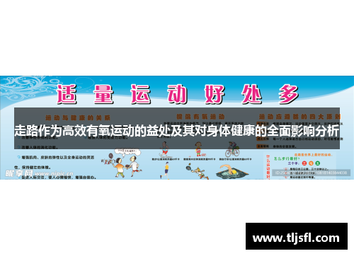走路作为高效有氧运动的益处及其对身体健康的全面影响分析