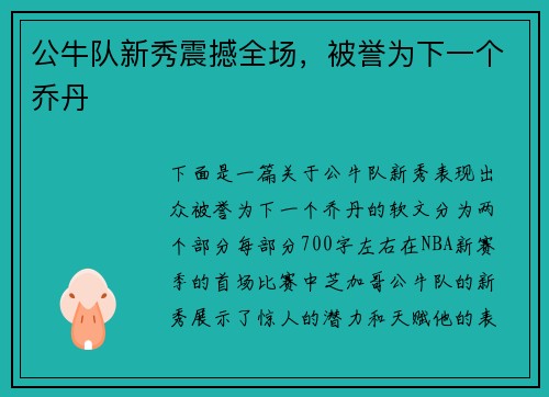 公牛队新秀震撼全场，被誉为下一个乔丹